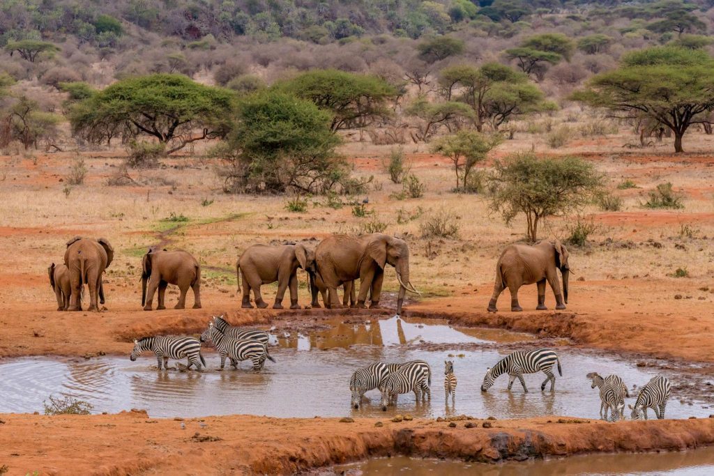 4 – Days And 3 Nights At The Amboseli Labor Safari Move With As Low As KSh.34,175