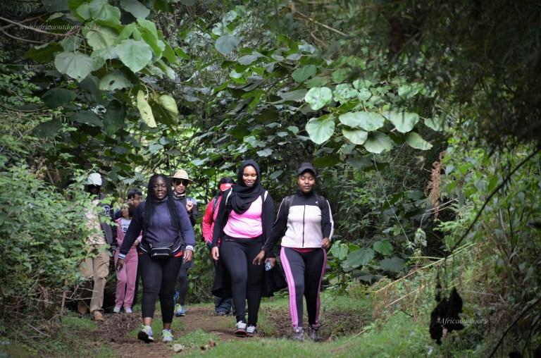Adventure A Trip With Us To Limuru Kereita Forest As From Ksh.5,000