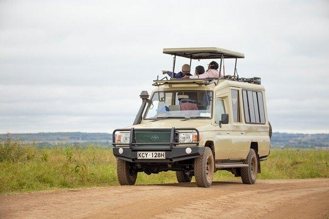 Nairobi National Park This Festive As Low As From Ksh.4,200
